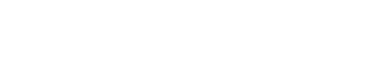 Best Wing Global